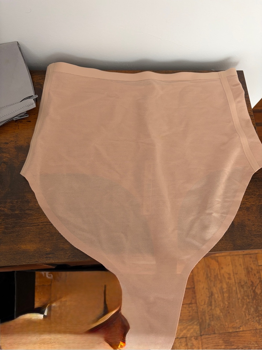SKIMS Sheer High-Waist Seamless Brief in Blush